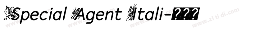 Special Agent Itali字体转换